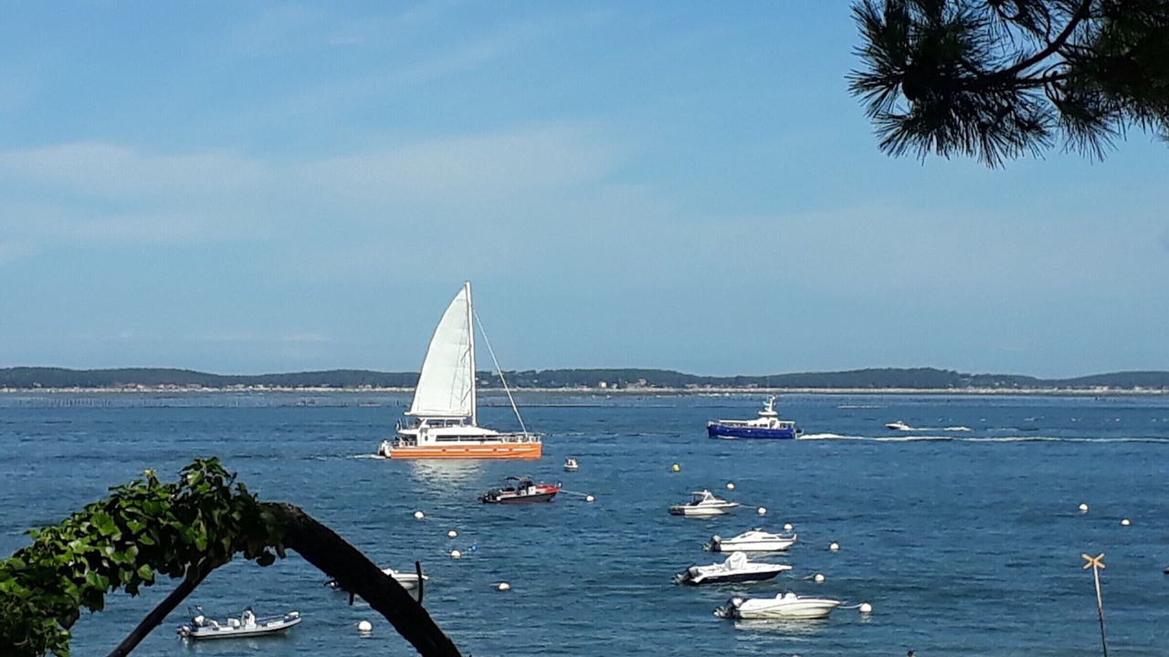 Photo of Others in Arcachon