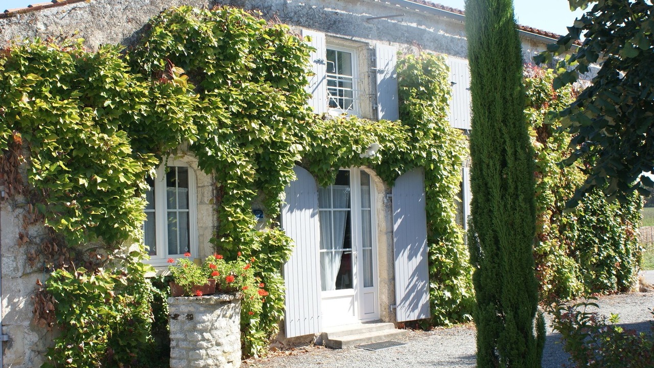 Photo of Outdoor in Surgeres
