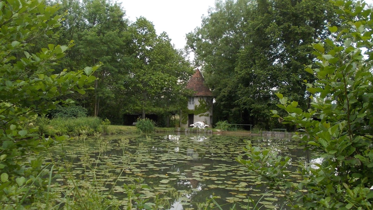 Photo of Outdoor in Neuvic
