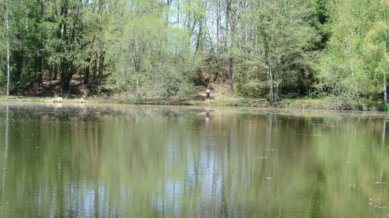 Photo of Others in Saint-Priest-les-Fougeres