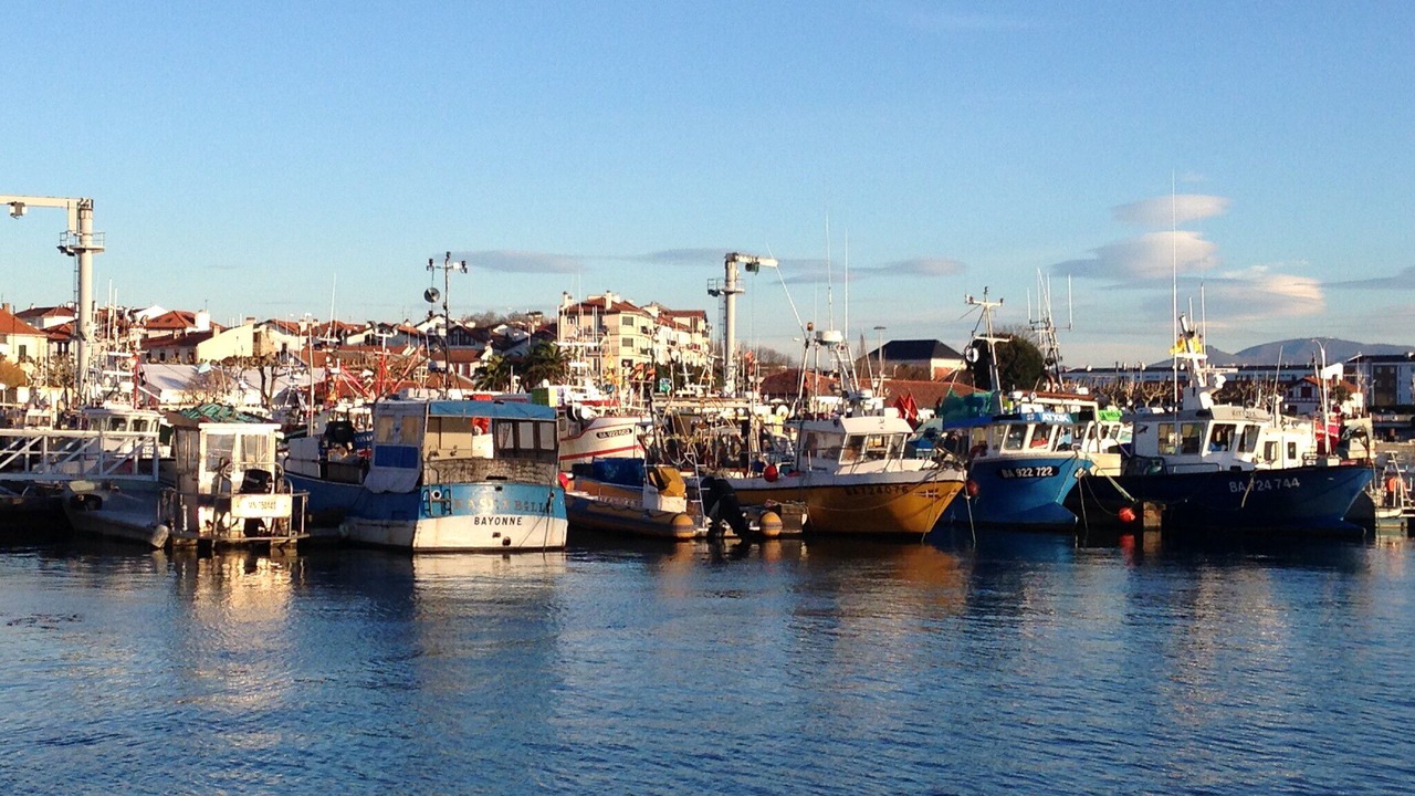 Photo of Others in Saint-Jean-de-Luz