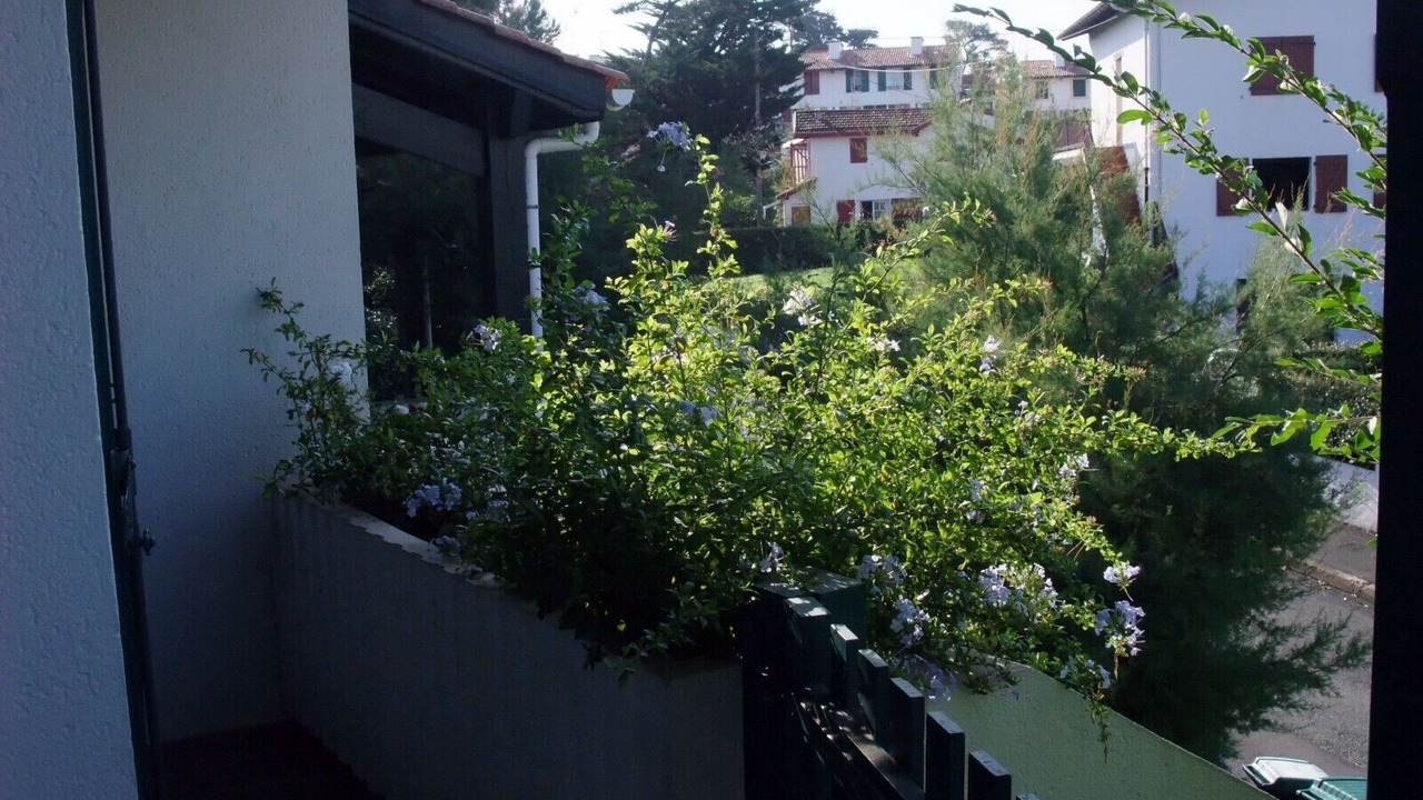 Photo of Outdoor in Saint-Jean-de-Luz