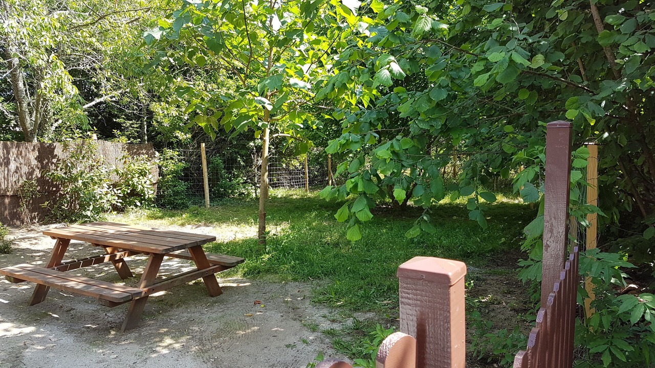 Photo of Outdoor in Pouydesseaux