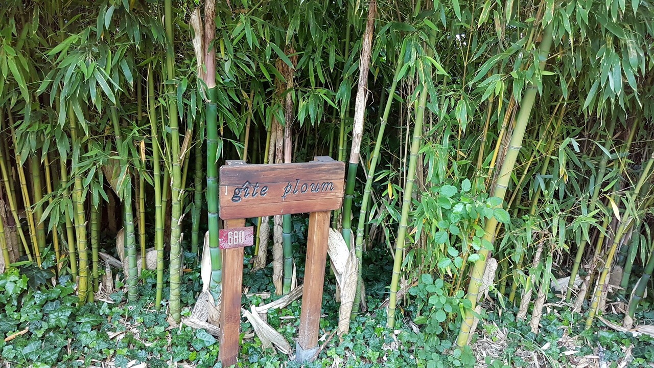 Photo of Outdoor in Pouydesseaux