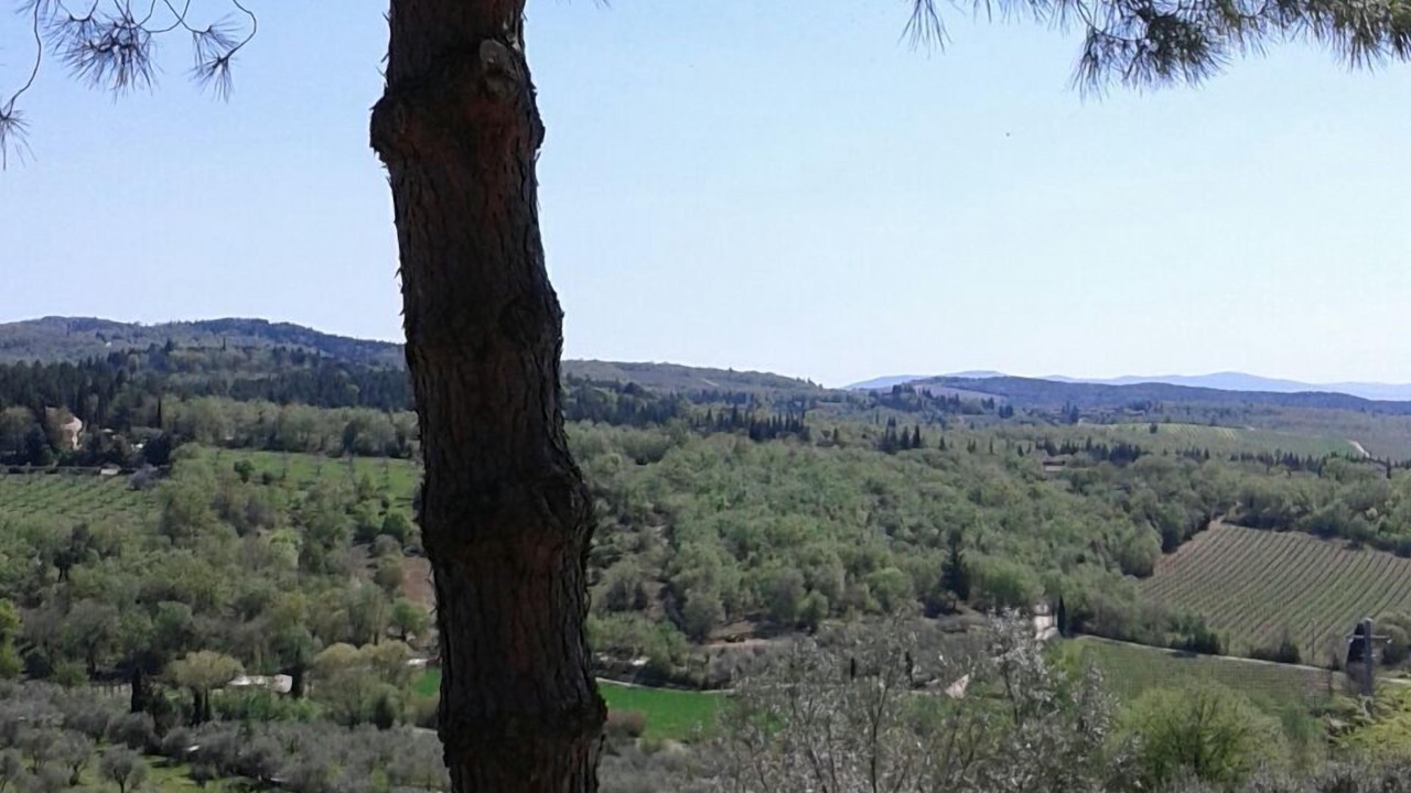 Photo of Outdoor in San Donato in Poggio