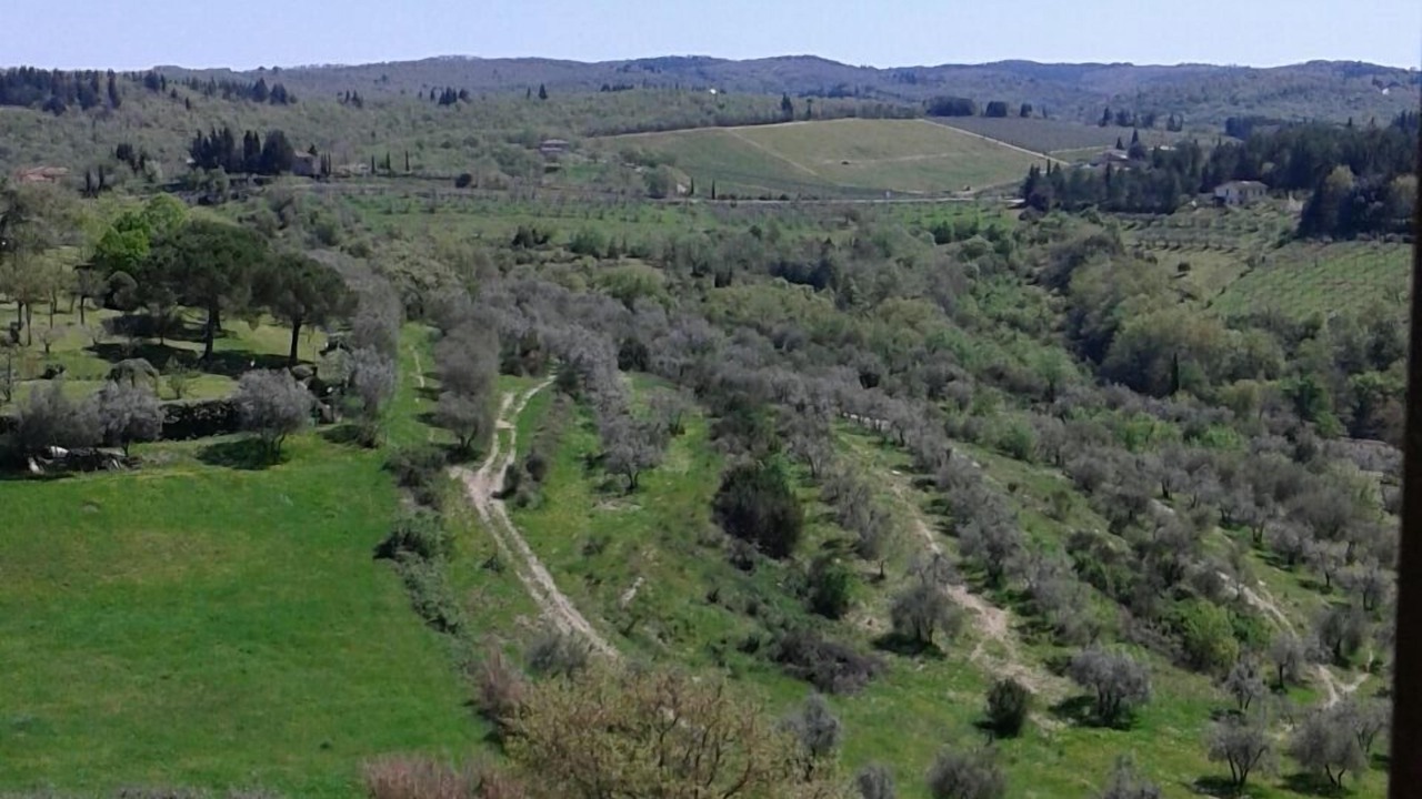 Photo of Outdoor in San Donato in Poggio