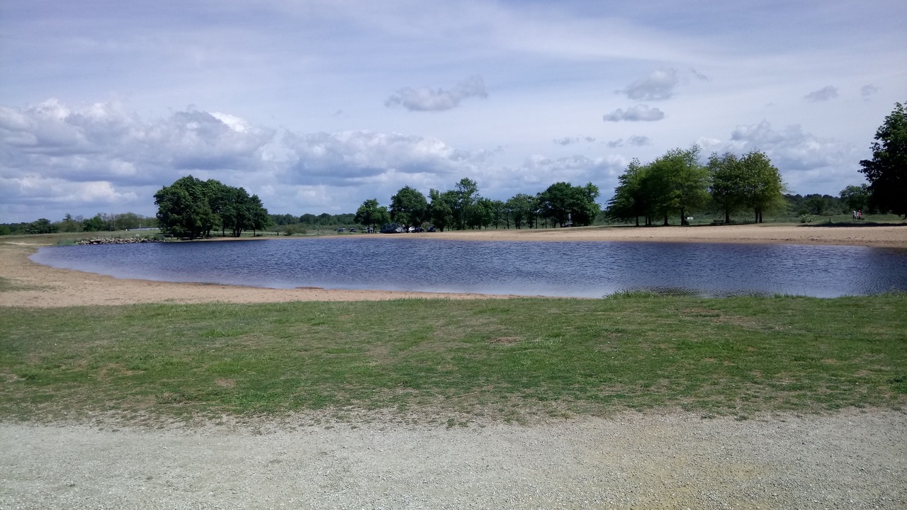 Photo of Others in Le Teich