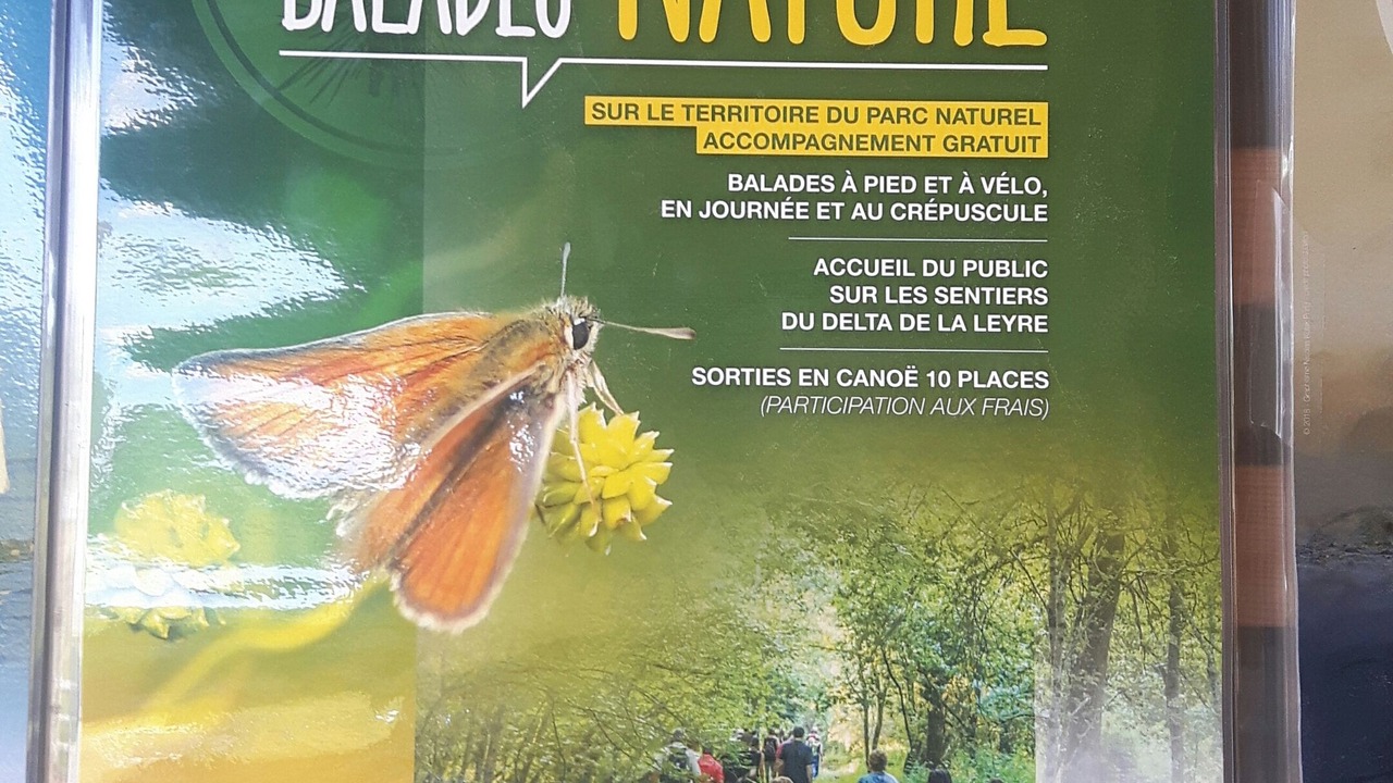 Photo of Others in Le Teich