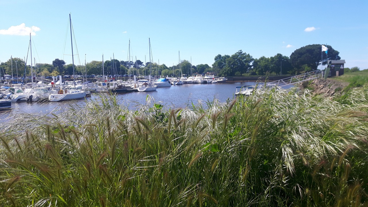 Photo of Others in Le Teich