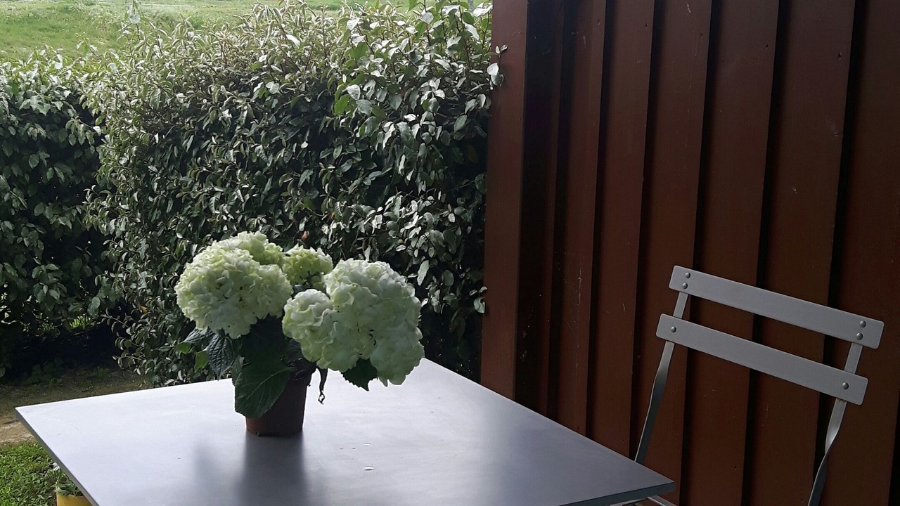 Photo of Outdoor in Le Teich