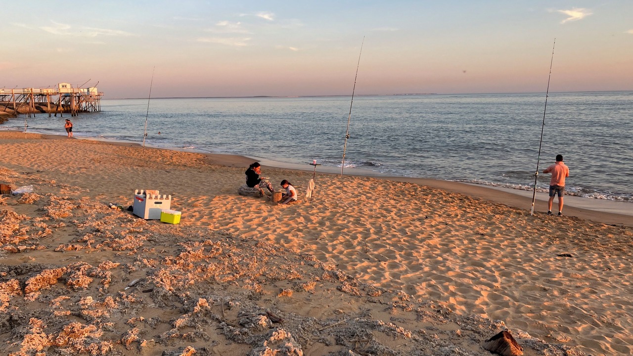 Photo of Others in Saint-Palais-sur-Mer