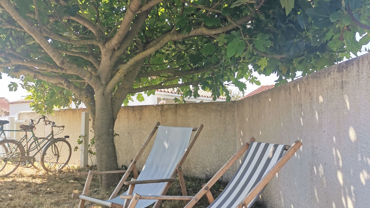 Photo of Outdoor in Cheray