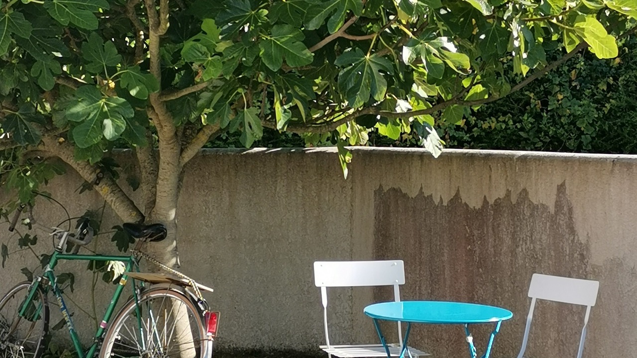 Photo of Outdoor in Cheray