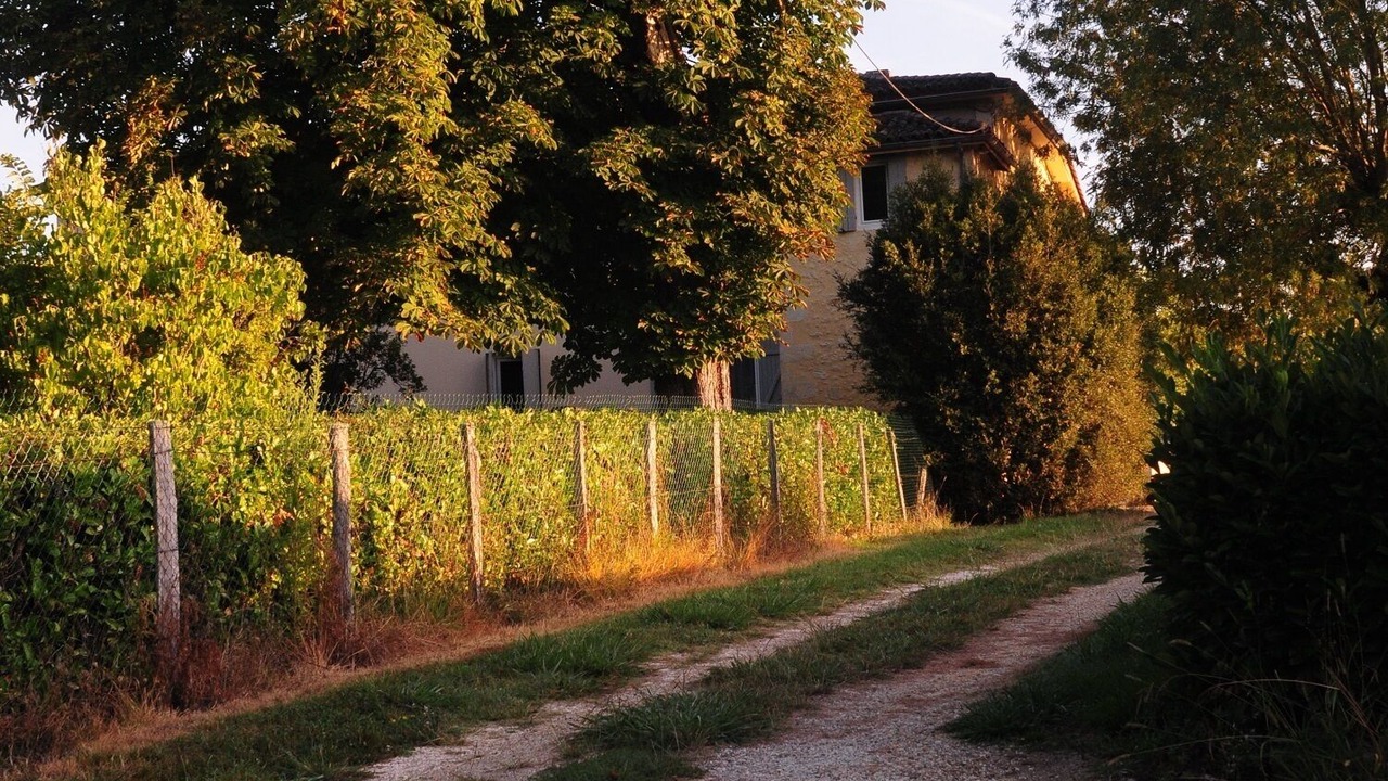 Photo of Outdoor in Haux