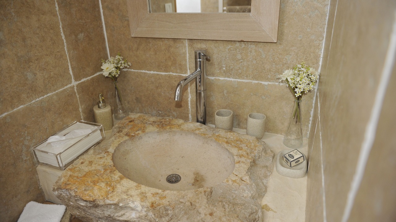 Photo of Bathroom in Tourtoirac