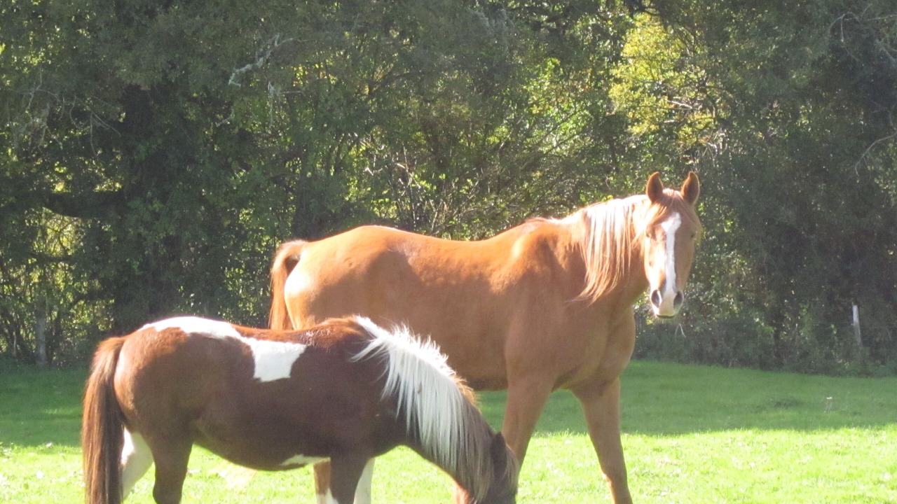 Photo of Others in Esse