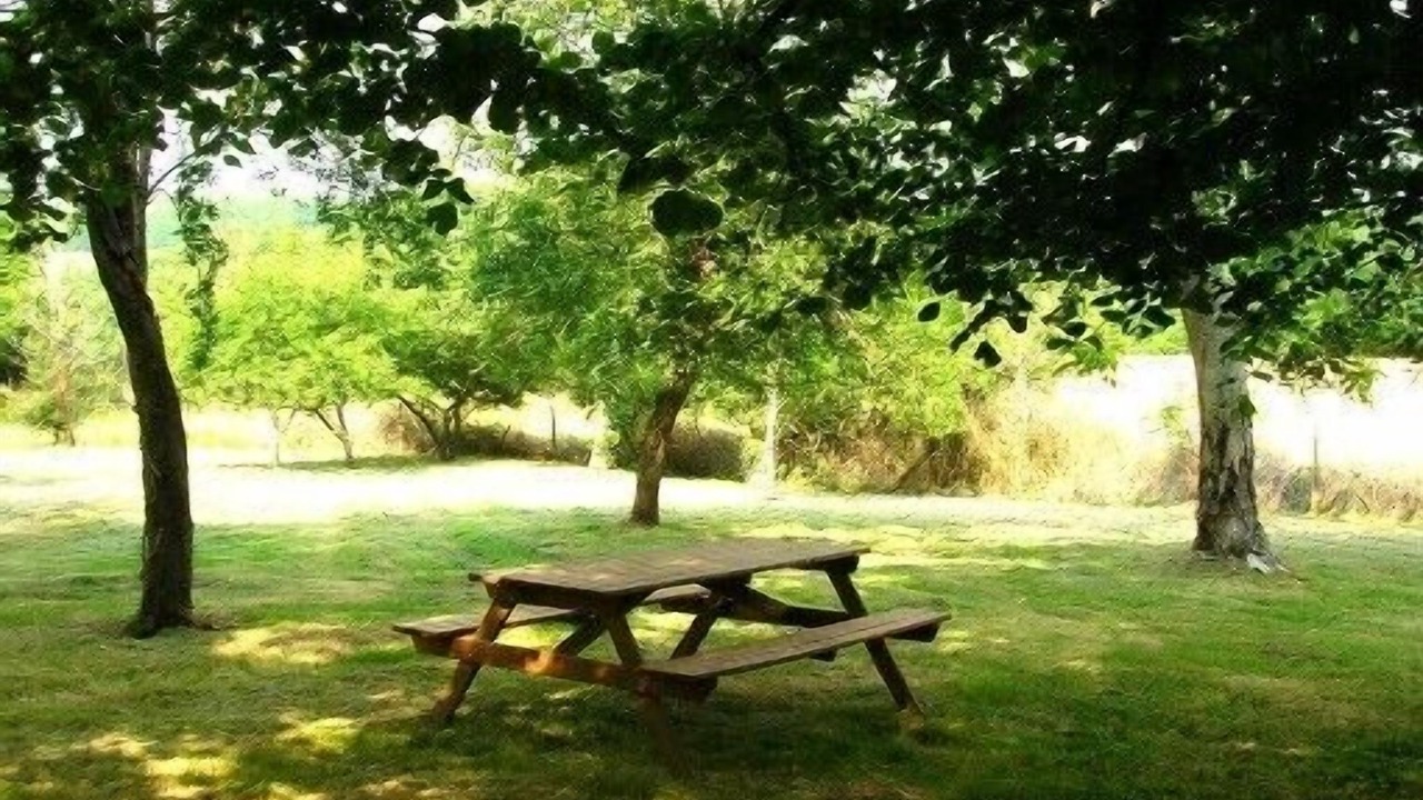 Photo of Outdoor in Saint-Michel-de-Villadeix