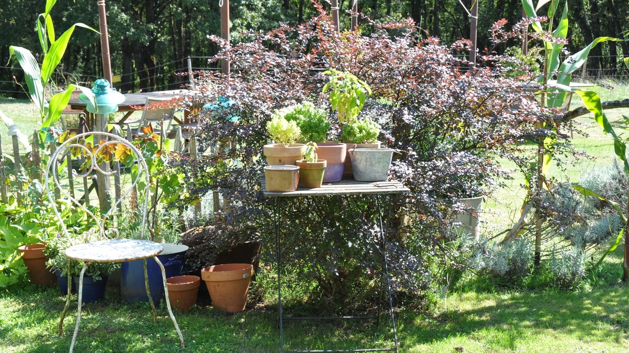 Photo of Outdoor in Tremolat