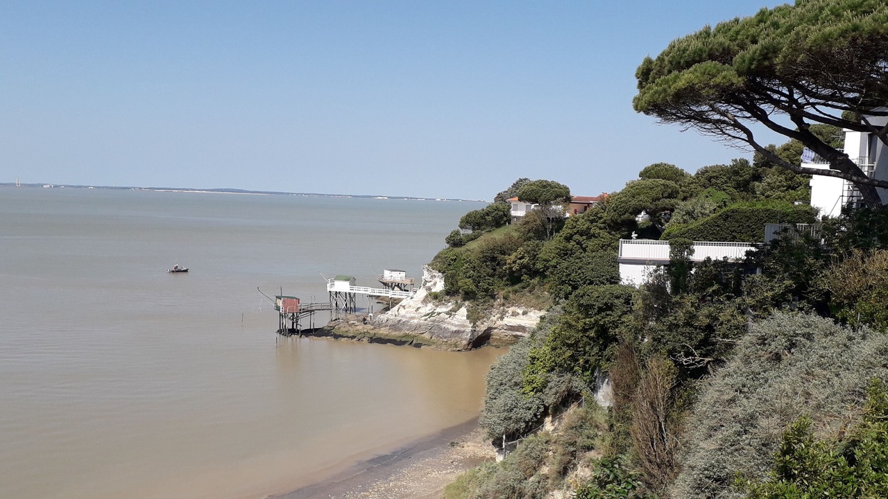 Photo of Others in Meschers-sur-Gironde