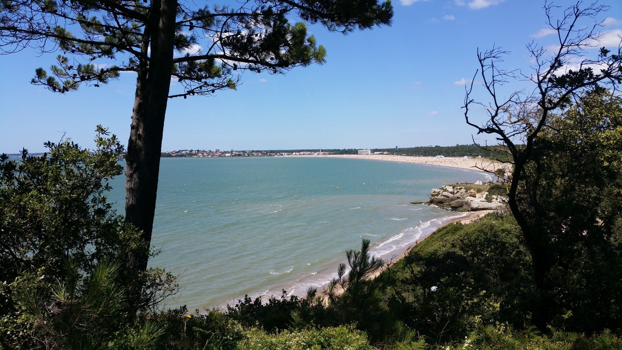 Photo of Others in Meschers-sur-Gironde