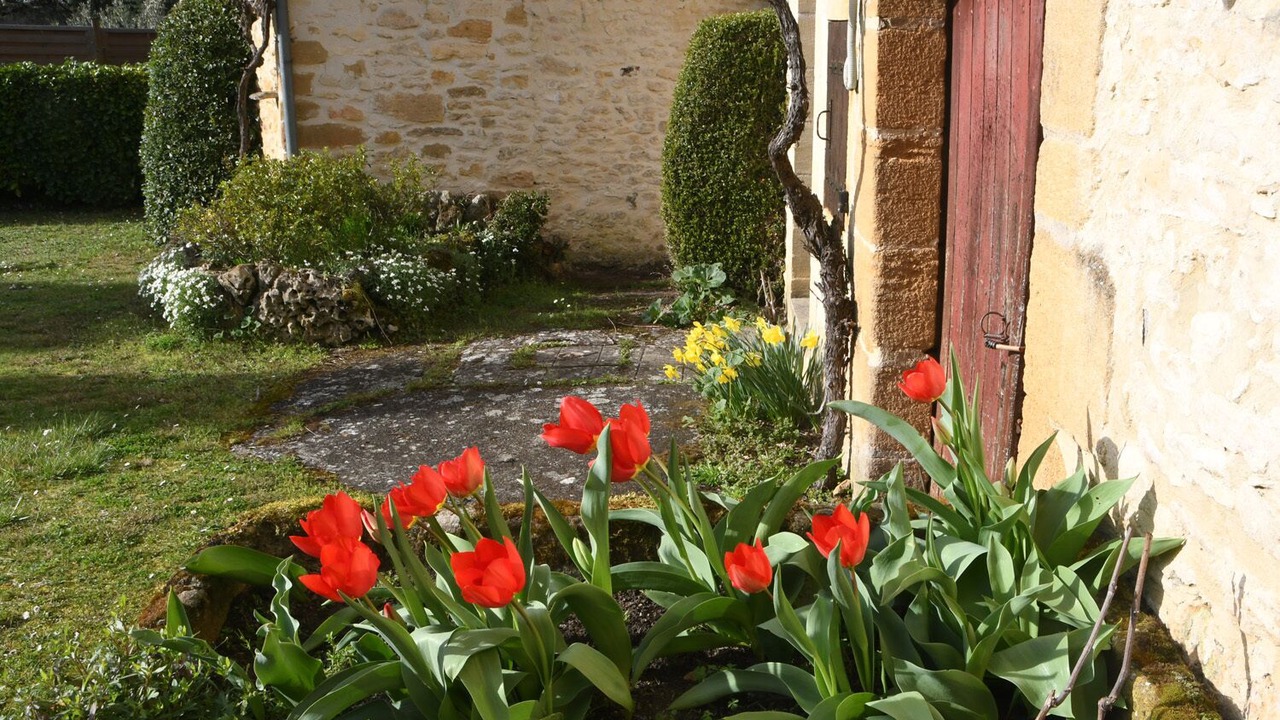 Photo of Outdoor in Tamnies