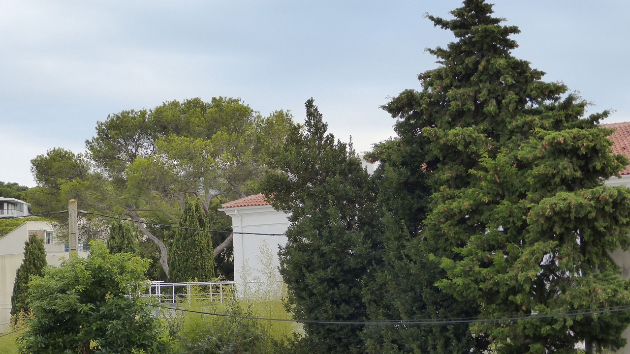 Photo of Outdoor in La Seyne-sur-Mer