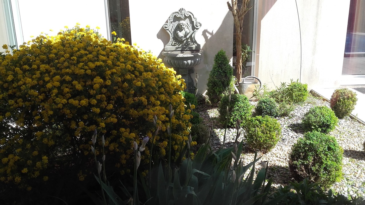 Photo of Outdoor in Saint Rogatien