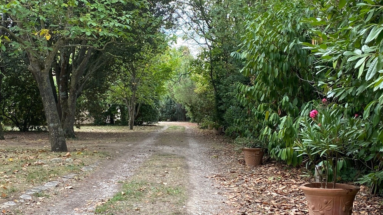 Photo of Outdoor in Saint Rogatien