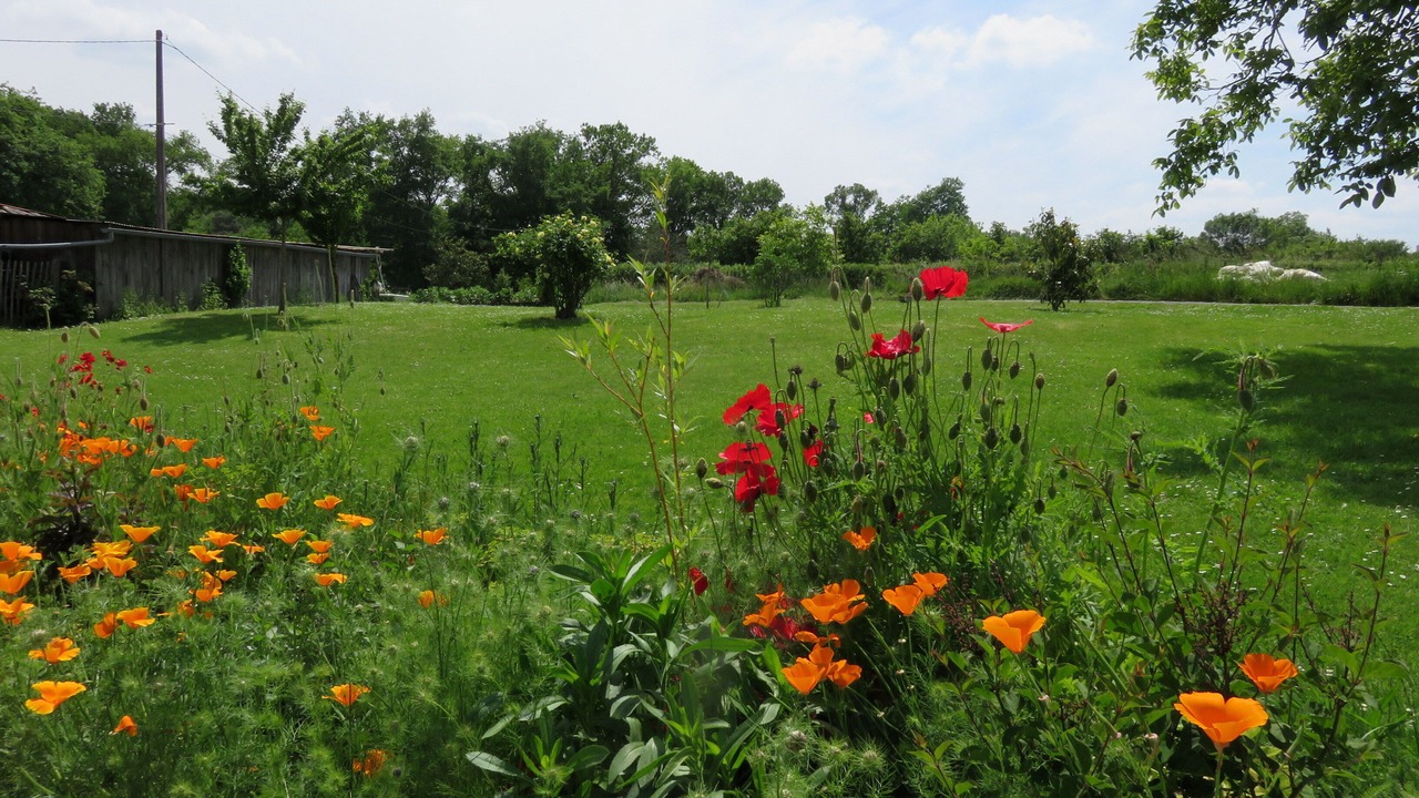 Photo of Outdoor in Sadirac