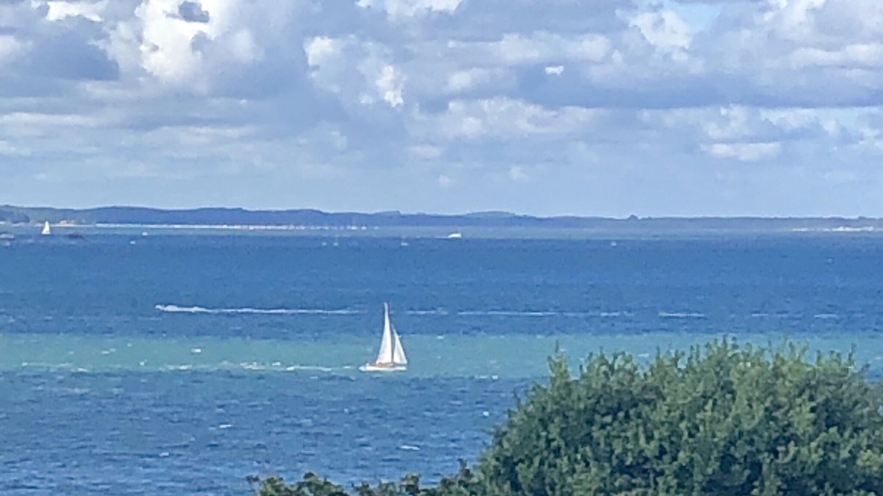 Photo of Others in Arcachon