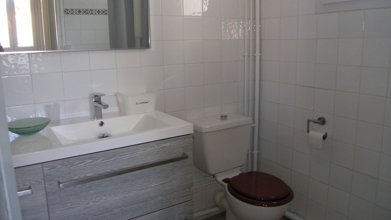 Photo of Bathroom in Saint-Georges-d'Oleron