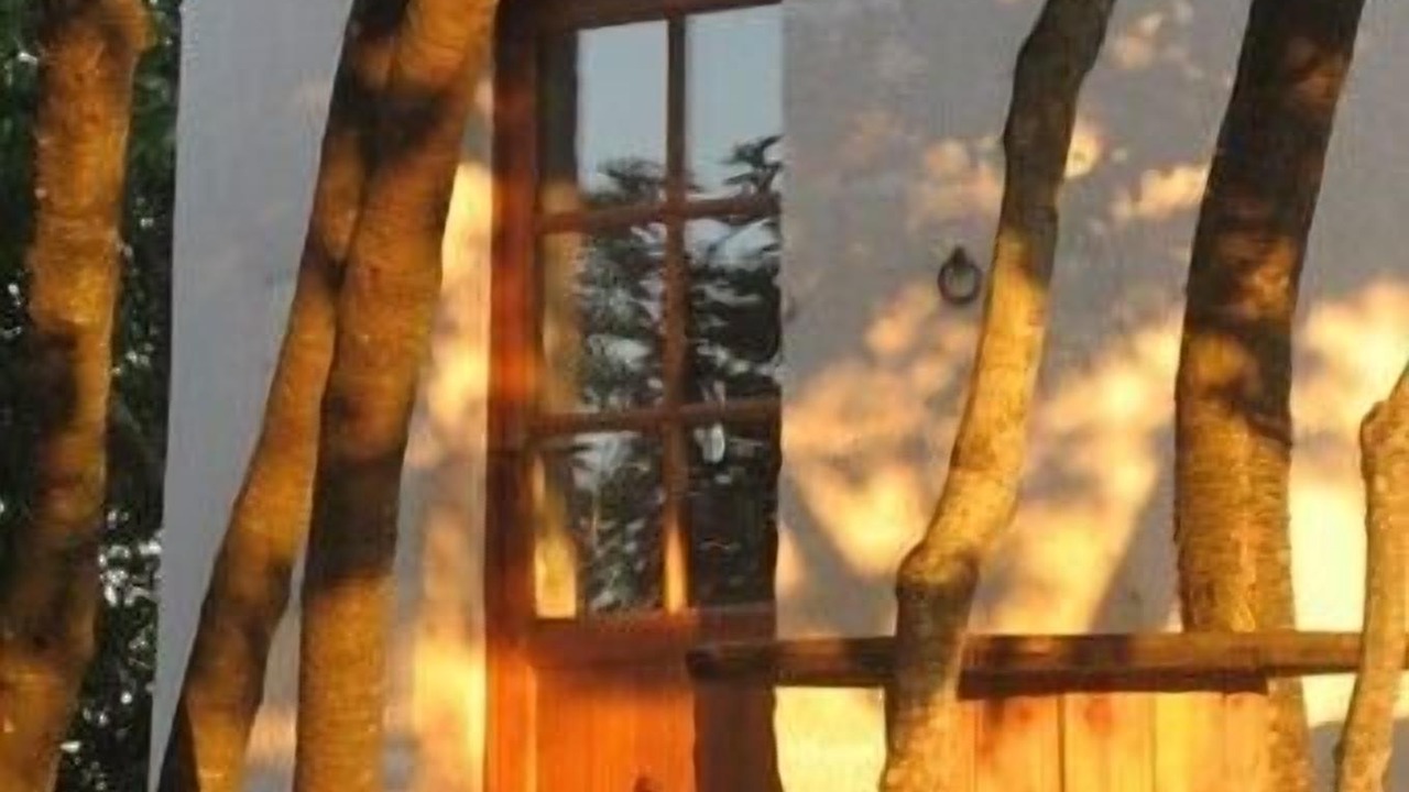 Photo of Outdoor in Saint-Fort-sur-Gironde