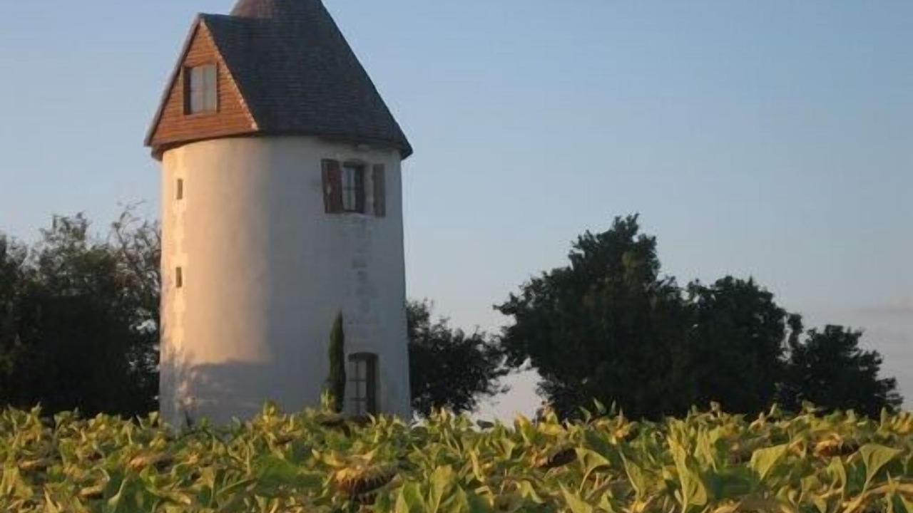 Photo of Outdoor in Saint-Fort-sur-Gironde