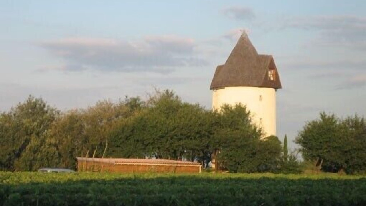 Photo of Others in Saint-Fort-sur-Gironde