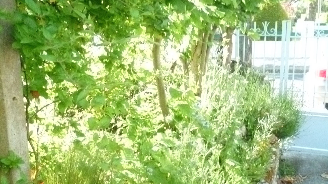 Photo of Outdoor in Pontaillac