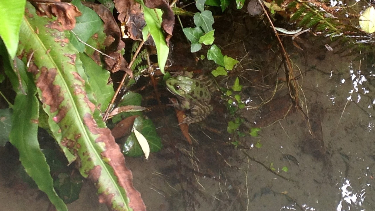Photo of Others in Lalinde