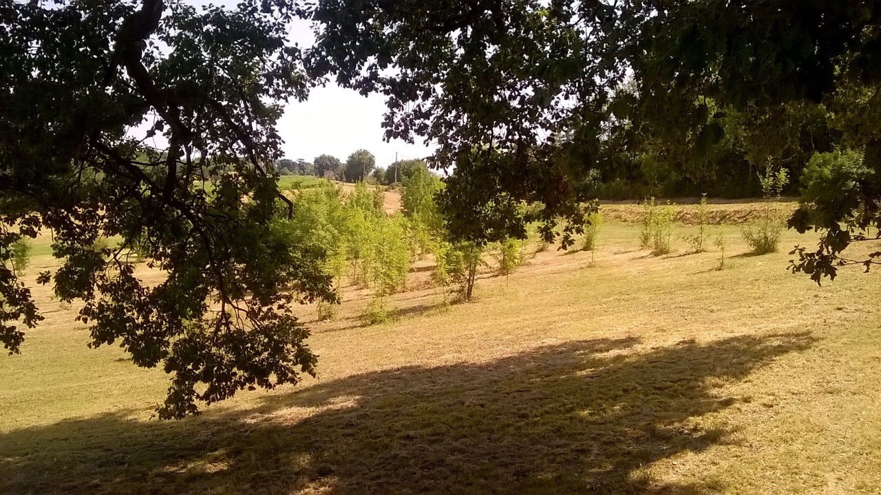 Photo of Others in Xaintrailles