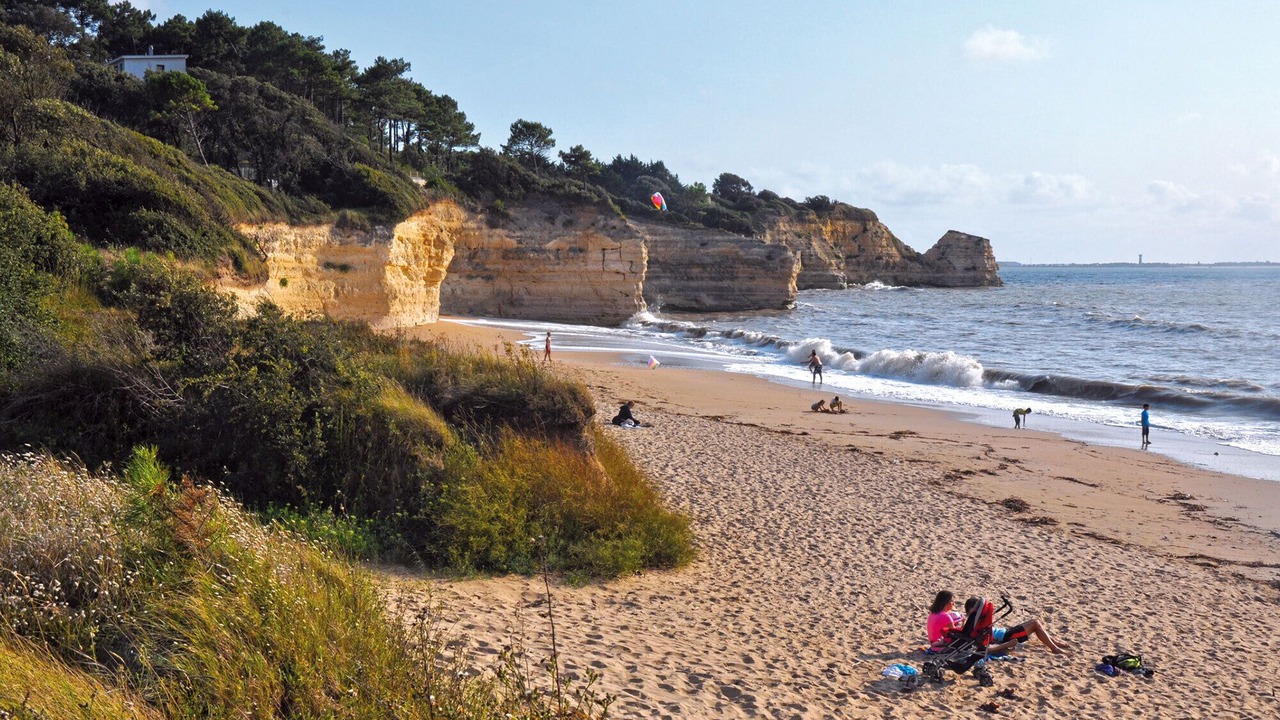 Photo of Others in Meschers-sur-Gironde