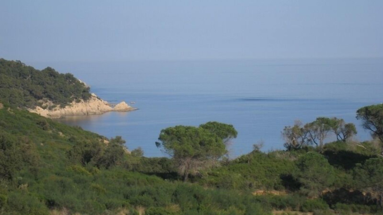 Photo of Others in Ramatuelle