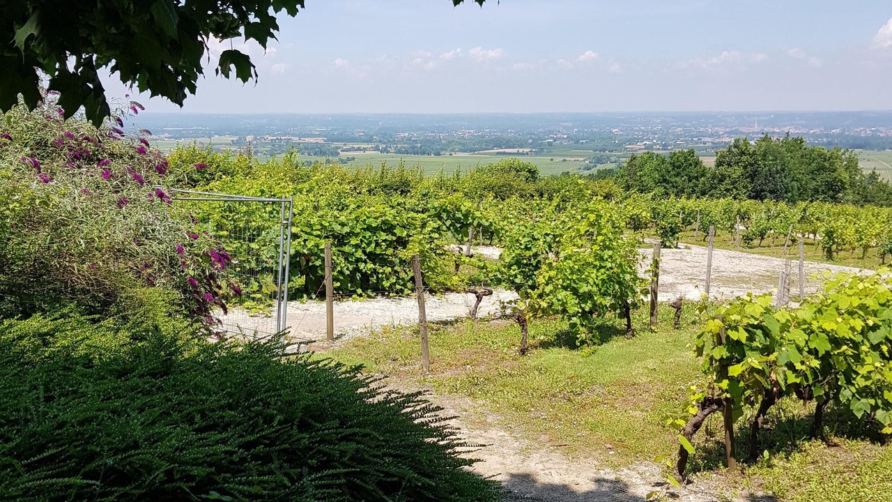 Photo of Outdoor in Gardonne