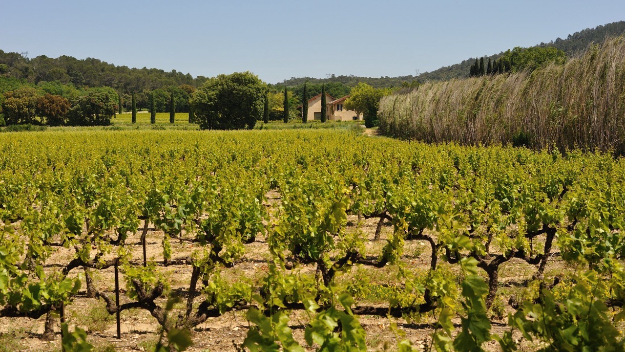 Photo of Outdoor in Bollene