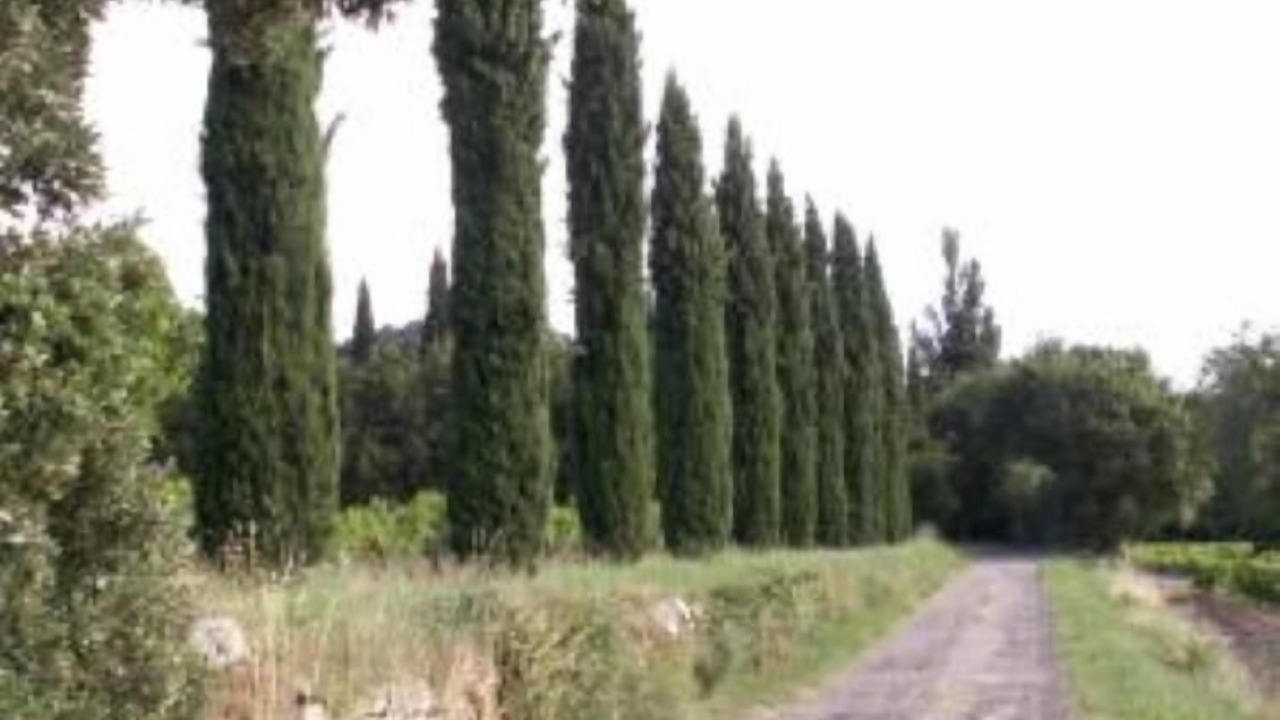 Photo of Outdoor in Bollene