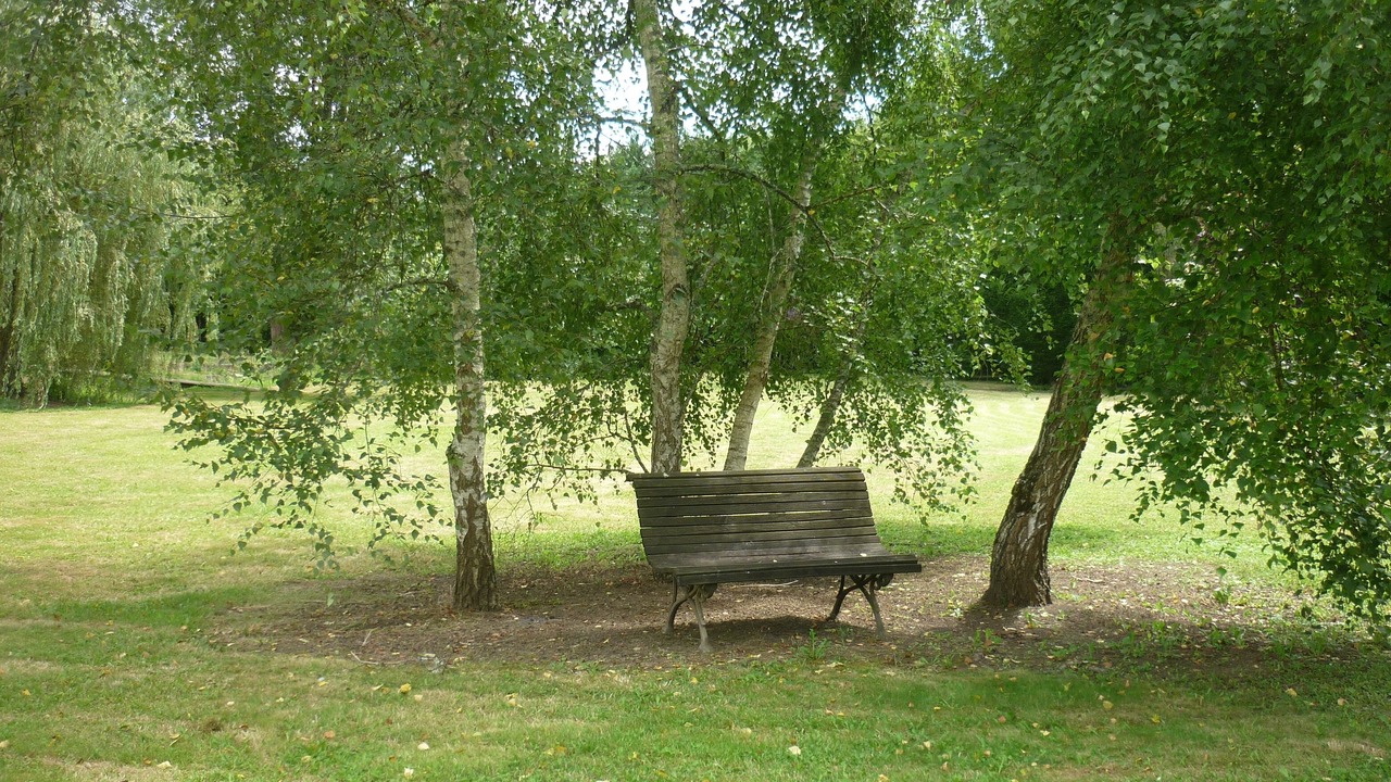 Photo of Others in Saint-Cyprien