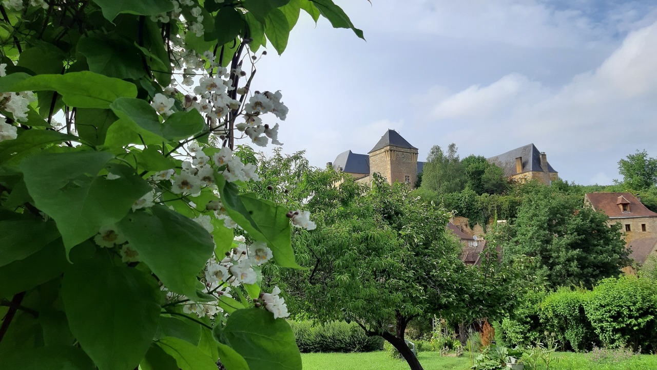 Photo of Outdoor in Berbiguieres