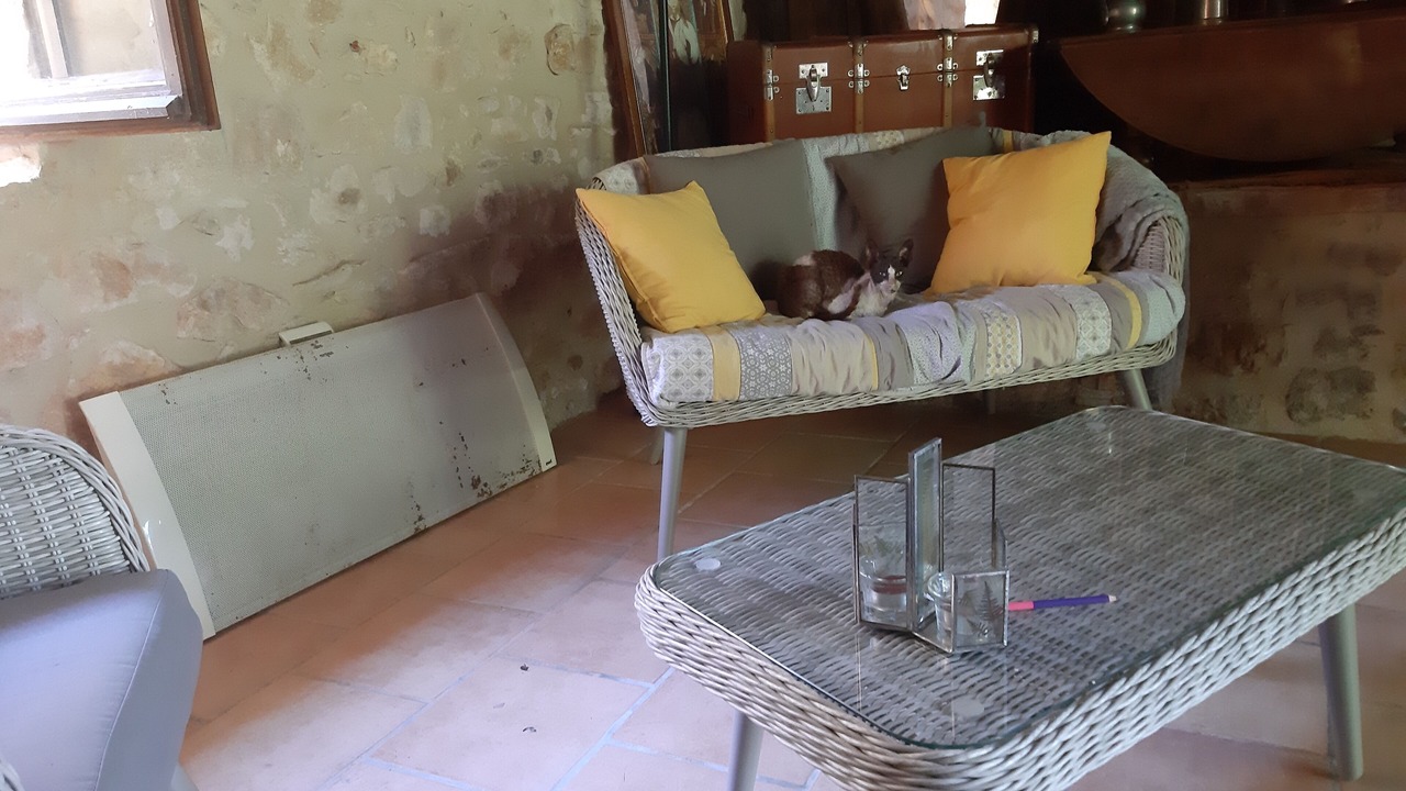 Photo of Livingroom in Berbiguieres