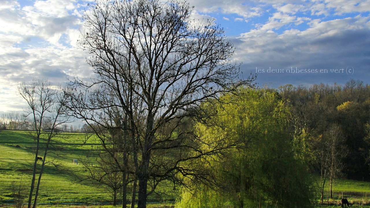 Photo of Outdoor in Mareuil en Perigord