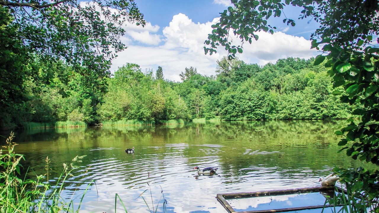 Photo of Outdoor in Mareuil en Perigord