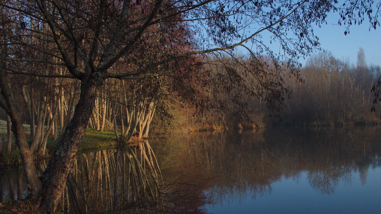 Photo of Others in Mareuil en Perigord