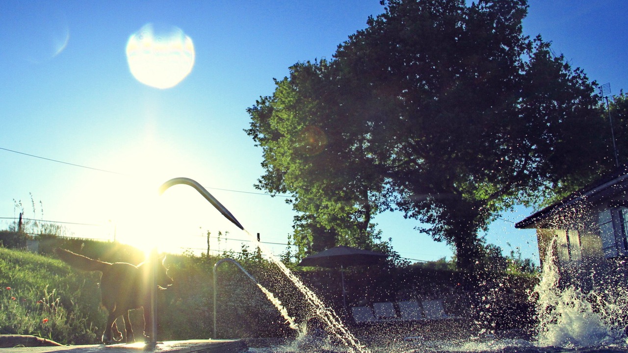 Photo of Outdoor in Mareuil en Perigord