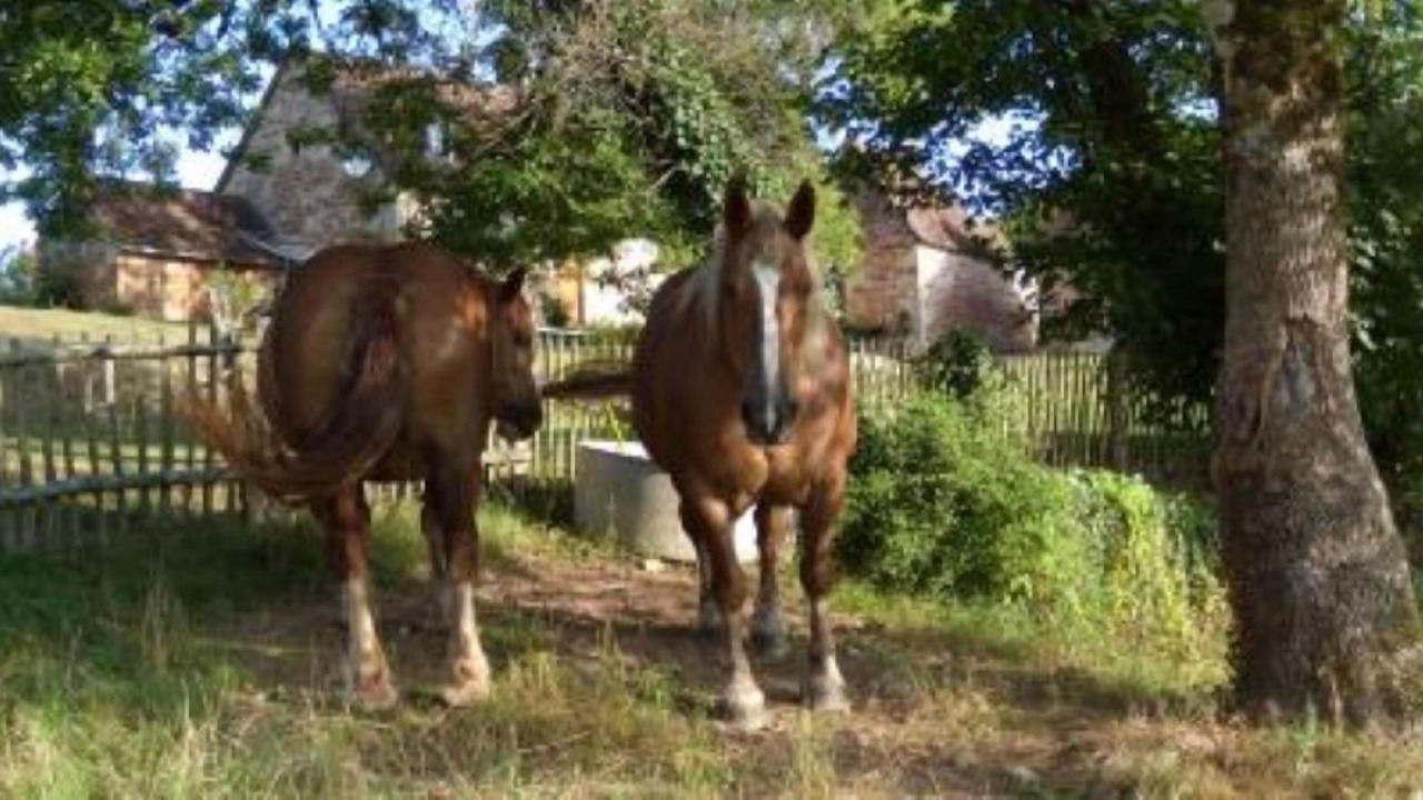 Photo of Outdoor in Badefols-d'Ans